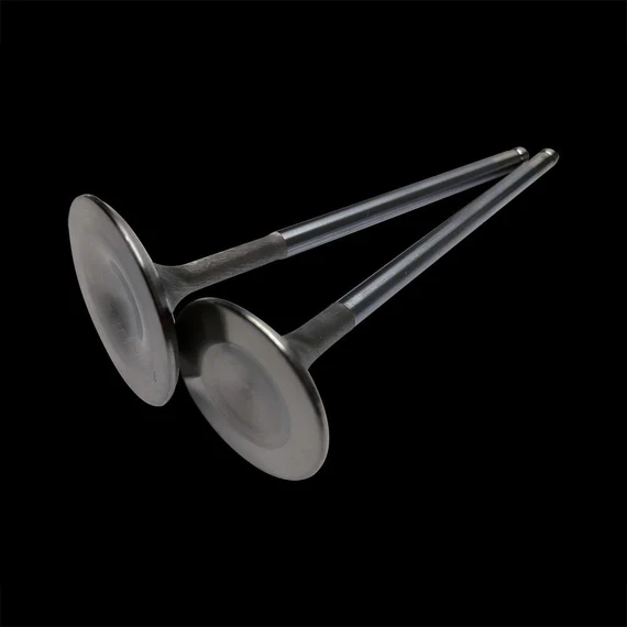 Brian Crower 2JZ Intake Valves
